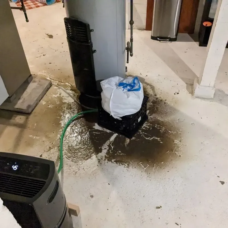 Sewage Backup Cleanup Service in Zillah, WA
